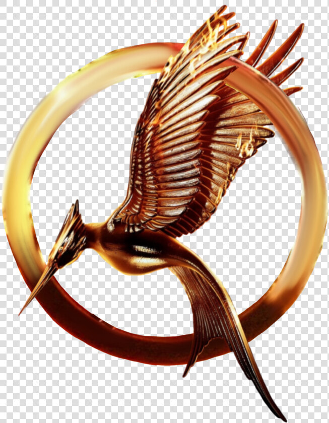 Catching Fire Mockingjay The Hunger Games Logo Drawing   Hunger Games Logo Png  Transparent PngTransparent PNG