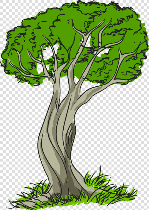 Nature Clipart Dark Forest Free   Clip Art Nature  HD Png DownloadTransparent PNG