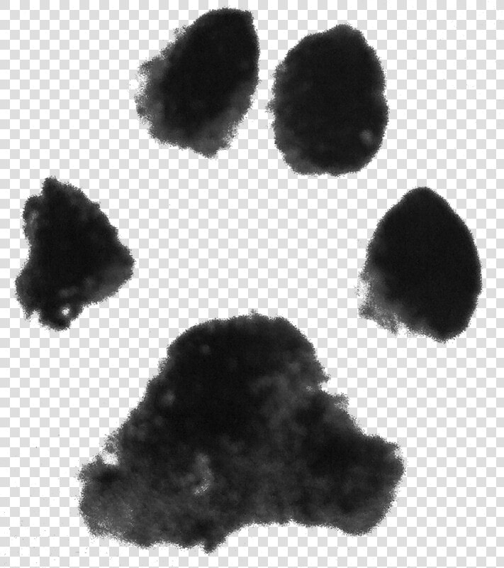 Pawprint Clipart Transparent Background   Transparent Dog Paw Print Background  HD Png DownloadTransparent PNG