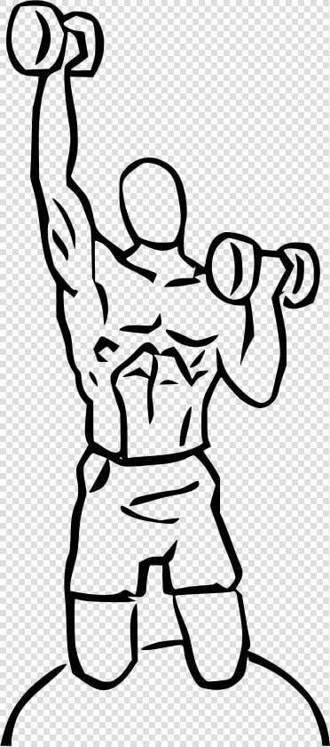 Biceps Curl   Png Download  Transparent PngTransparent PNG