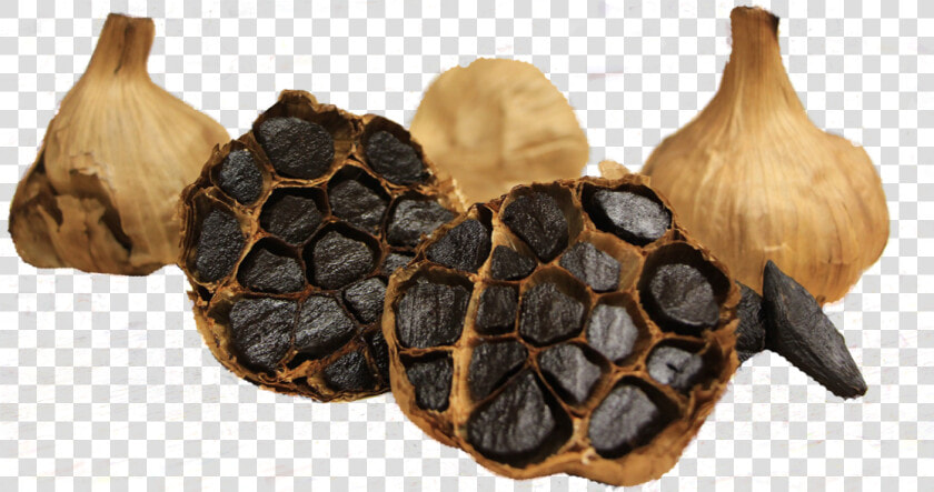 Ajo Negro   Black Garlic  HD Png DownloadTransparent PNG