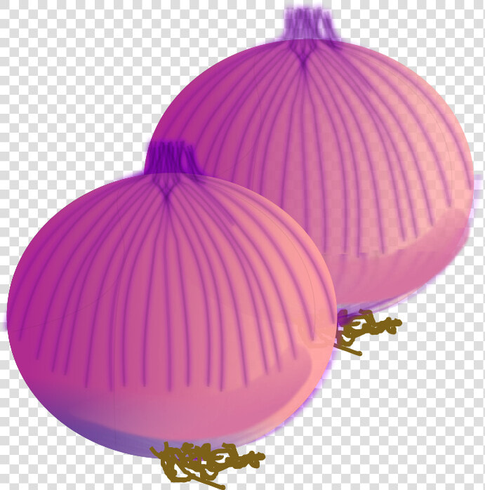 Onion Vector   Onion Clip Art  HD Png DownloadTransparent PNG