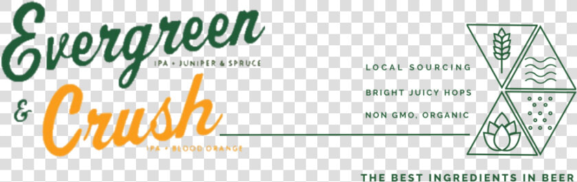 Evergreen Crush Logo With Triangles   Paper Product  HD Png DownloadTransparent PNG