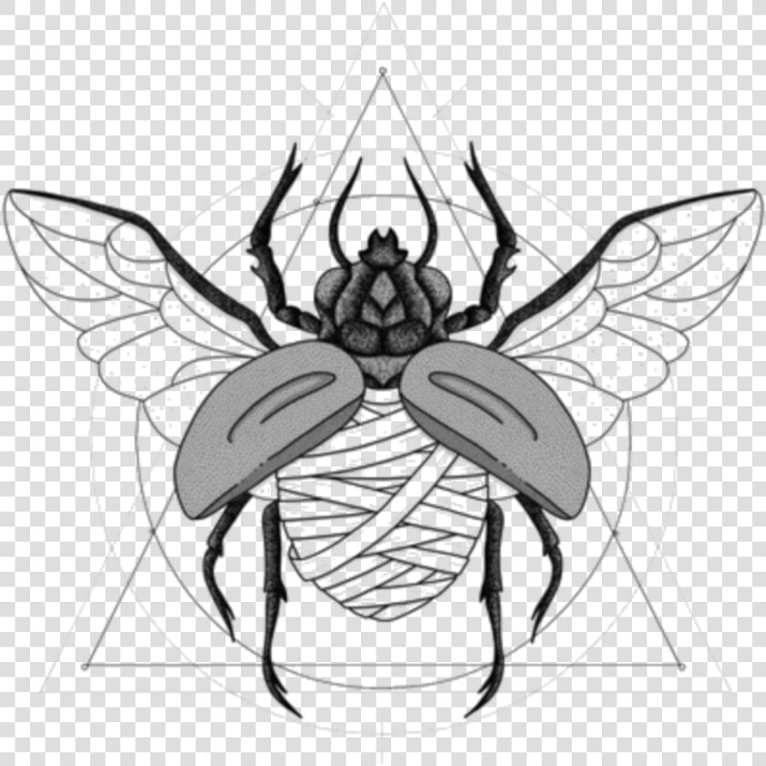  scarab  beetle  egyptian  mummy   Illustration  HD Png DownloadTransparent PNG