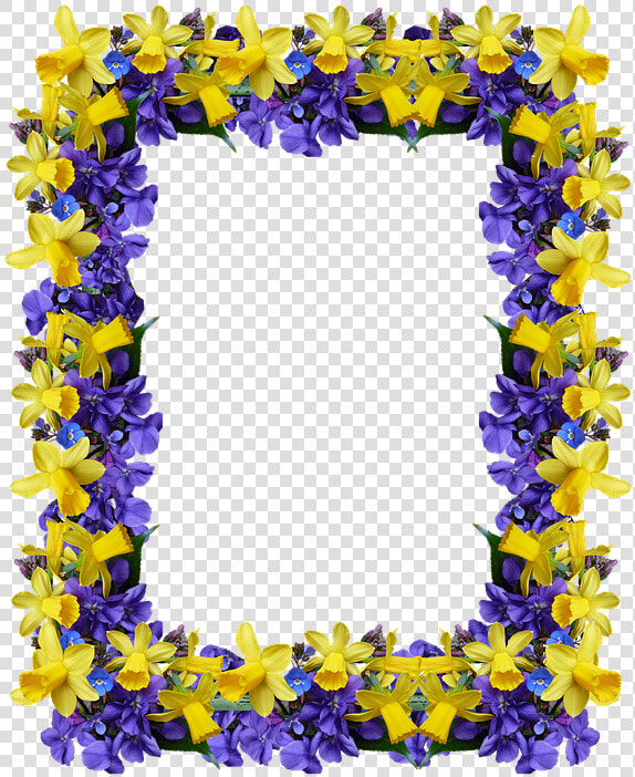 Frame  Spring  Flowers  Daffodils  Violets   Delphinium  HD Png DownloadTransparent PNG