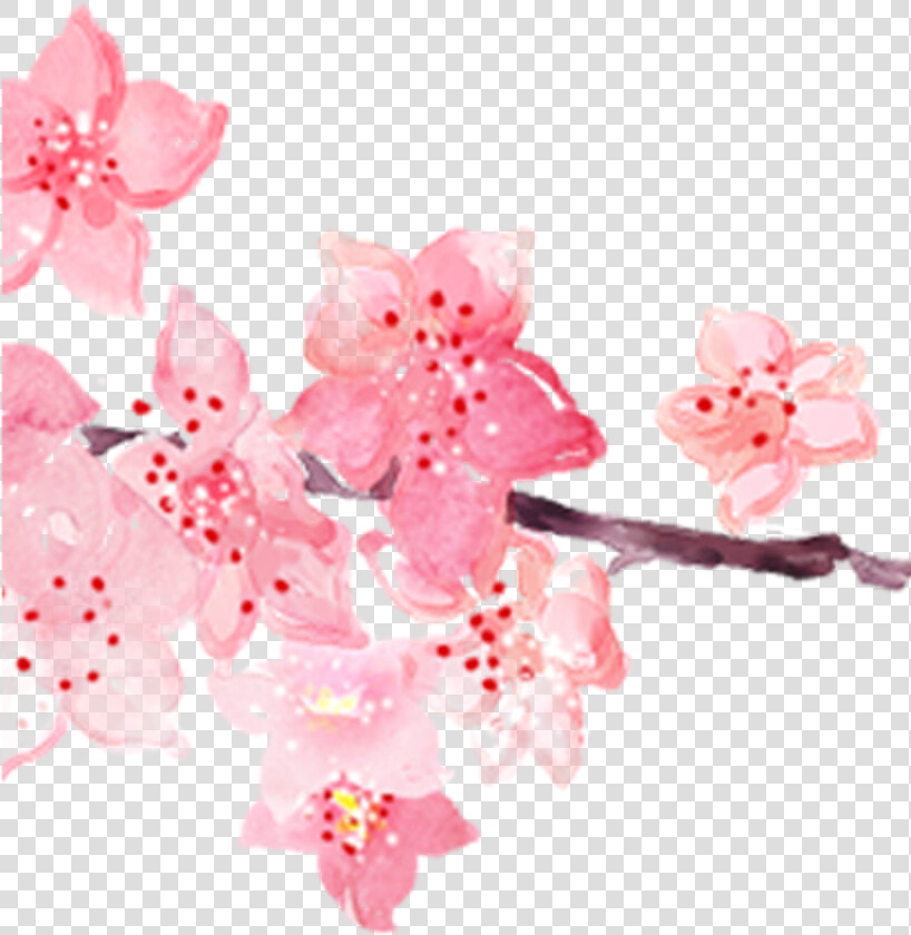  ftestickers  watercolor  flowers  branch  cherryblossom   Cherry Blossom Watercolor Png  Transparent PngTransparent PNG