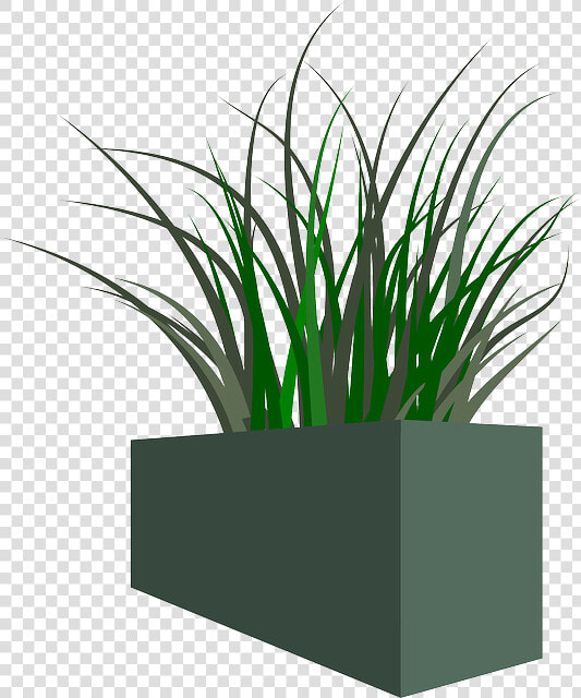 Pot  Grass  Plant  Weeds   Planter Boxes Transparent Background  HD Png DownloadTransparent PNG