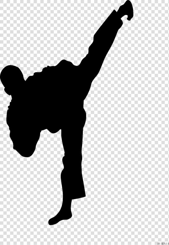 Kung Fu Ninja   Tae Kwon Do Clip Art  HD Png DownloadTransparent PNG