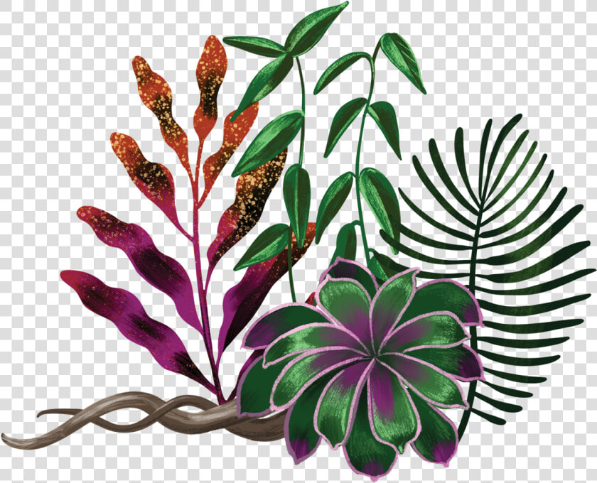 The Heart Of Whiteness Plant Illustration By Shyama   Ayahuasca Png  Transparent PngTransparent PNG