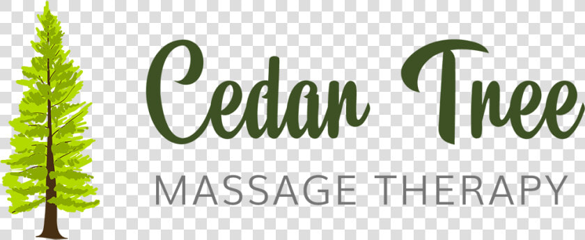 Cedar Tree Massage Therapy  HD Png DownloadTransparent PNG