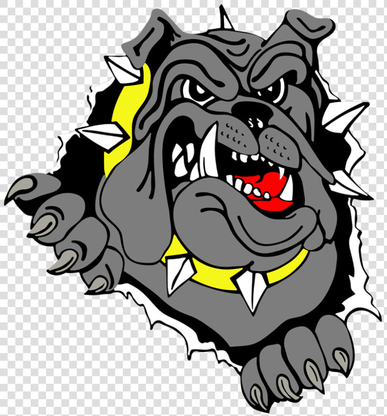 Bulldog Phone Case   Transparent Background Bulldog Clip Art  HD Png DownloadTransparent PNG