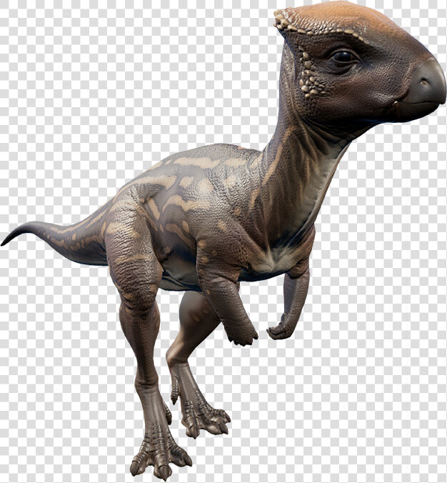     Jurassic World Evolution Dinosaurs Herbivore  HD Png DownloadTransparent PNG