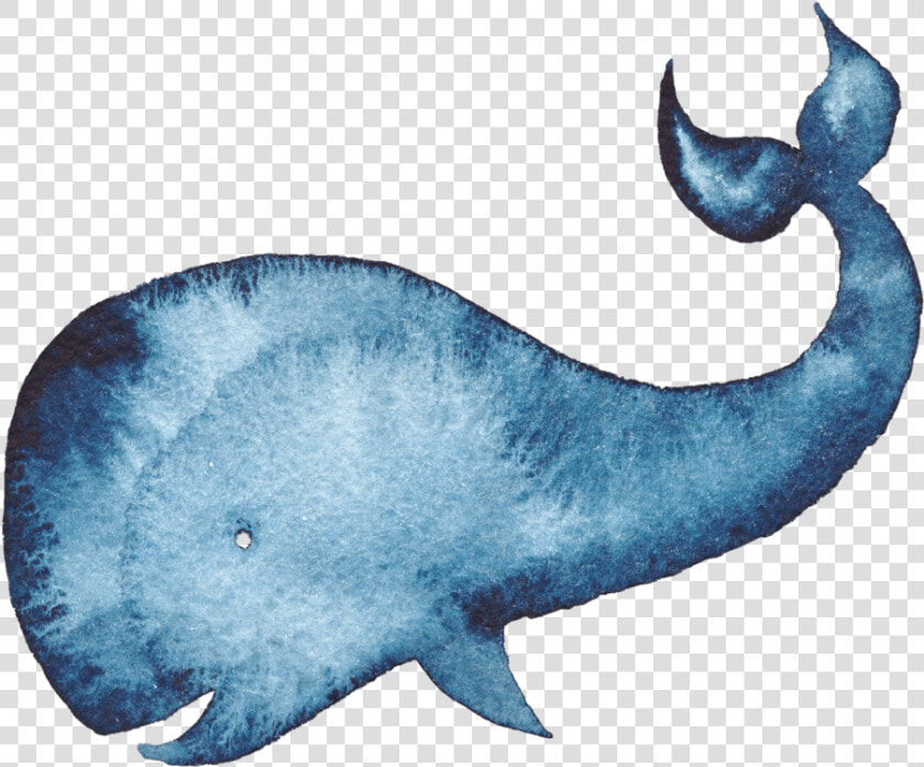 Humpback Whale Watercolor Painting Blue Whale   Watercolor Illustration Of A Whale  HD Png DownloadTransparent PNG