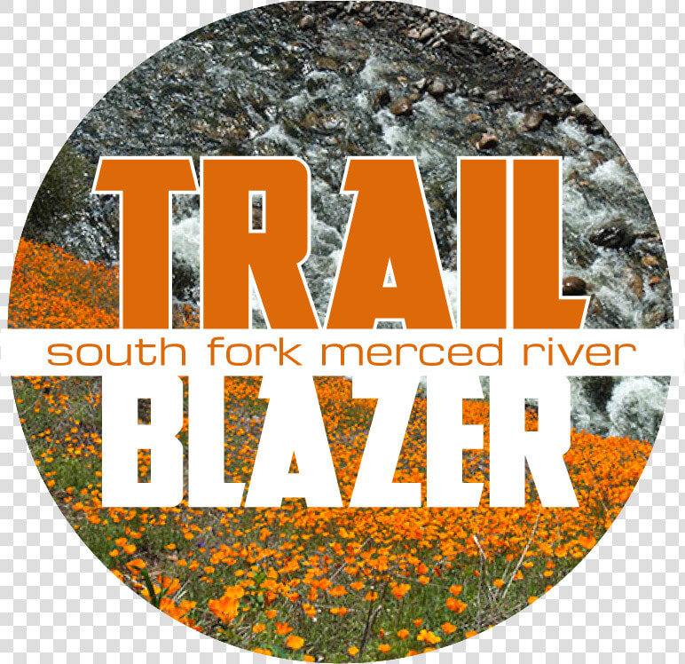 Transparent Trail Blazers Logo Png   Label  Png DownloadTransparent PNG