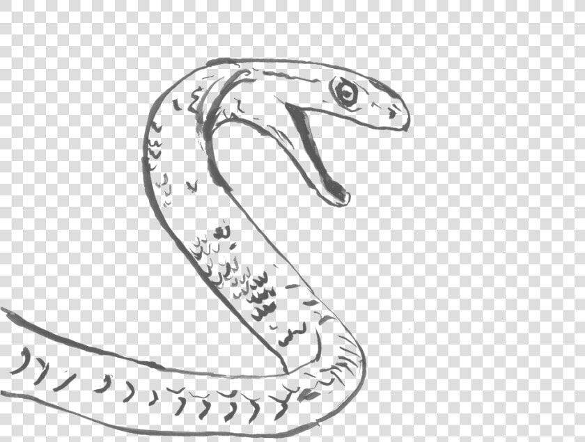 Blackmamba  HD Png DownloadTransparent PNG