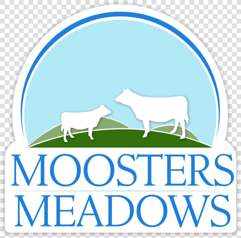 Moosters Meadows   Horse  HD Png DownloadTransparent PNG