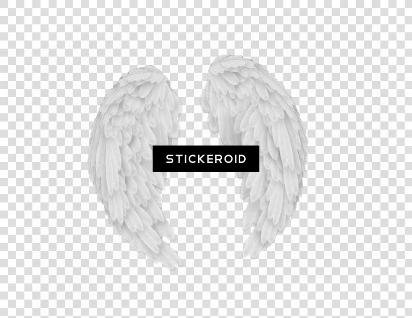 More Pankh Png   Angel Wings  Transparent PngTransparent PNG