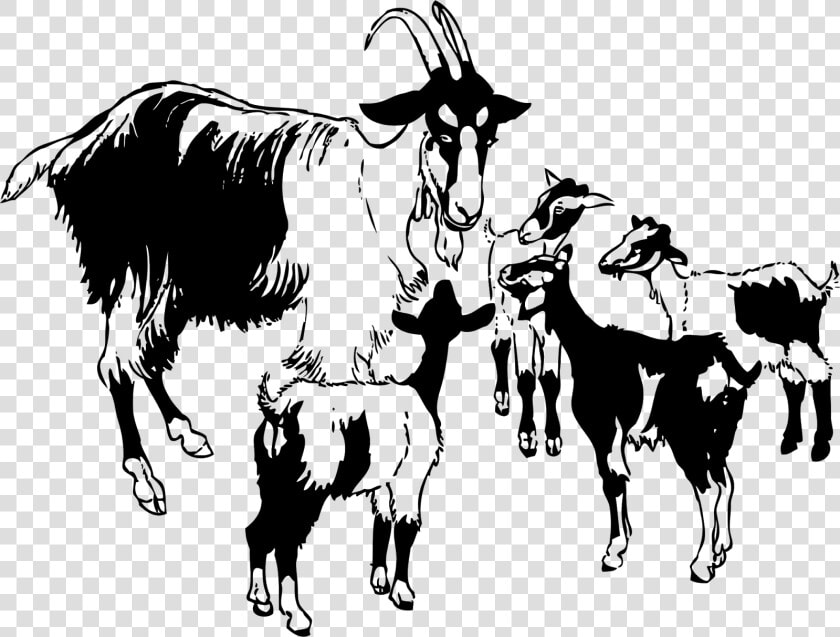 Goat Essay In English  HD Png DownloadTransparent PNG