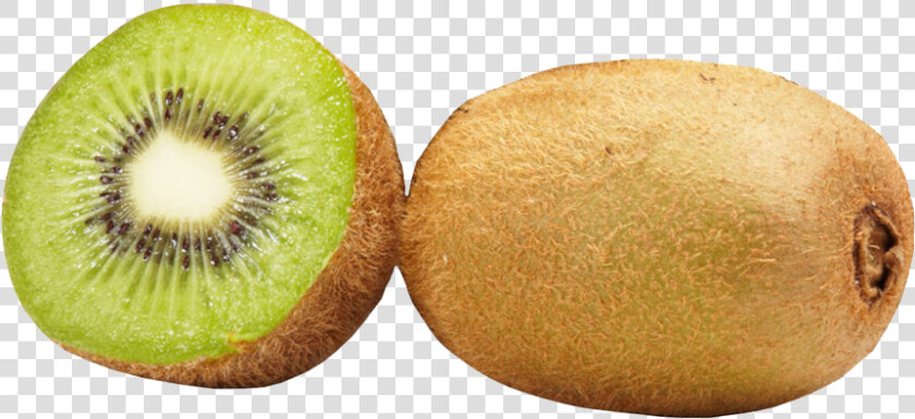 Transparent Kiwi Fruit Clipart   Kiwifruit  HD Png DownloadTransparent PNG