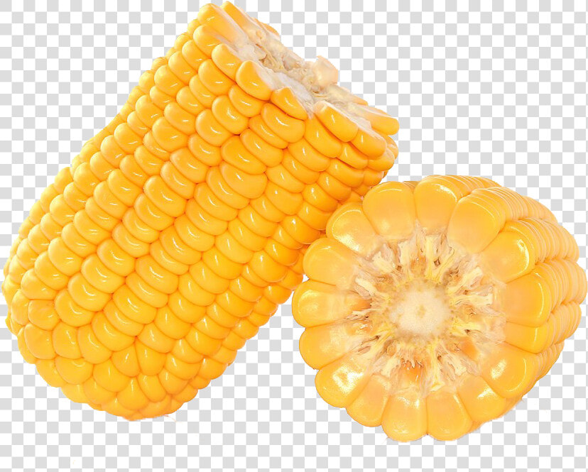 Corn Kernel Png   Kfc Corn Png  Transparent PngTransparent PNG