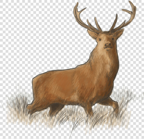 Lough Eske Road Elk The Lodge   Harvey S Point   Elk  HD Png DownloadTransparent PNG