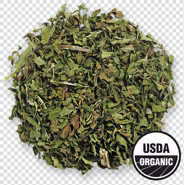 Organic Spearmint From The Jasmine Pearl Tea Co   Common Sage  HD Png DownloadTransparent PNG