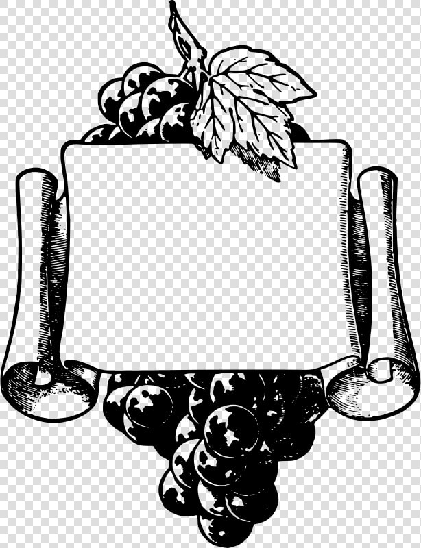 Wonderful Grapes Frame   Grape Vine Border Clip Art Black And White  HD Png DownloadTransparent PNG