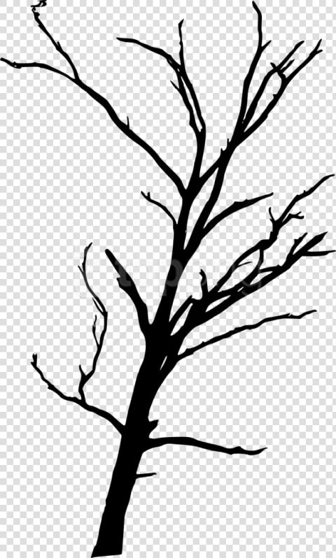 Free Png Dead Tree Silhouette Png Images Transparent   Dead Trees Transparent Background  Png DownloadTransparent PNG