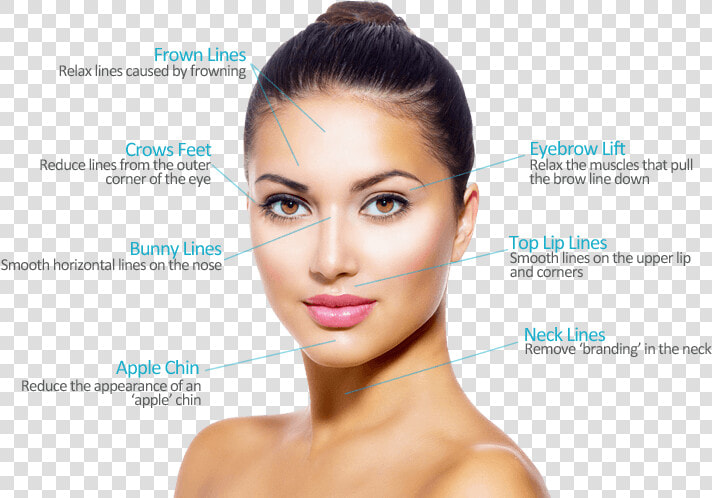 Botox Areas   Facial Aesthetics  HD Png DownloadTransparent PNG