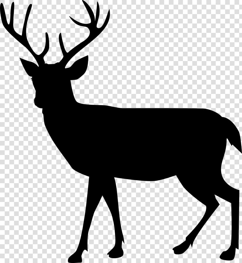 Reindeer Moose Silhouette Illustration   Deer Silhouette Png Free  Transparent PngTransparent PNG