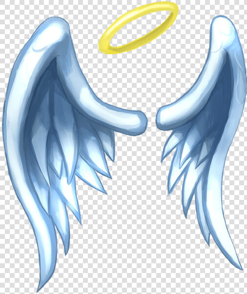 Cartoon Angel Wing Png   Cartoon Angel Wings Png Clipart  Transparent PngTransparent PNG