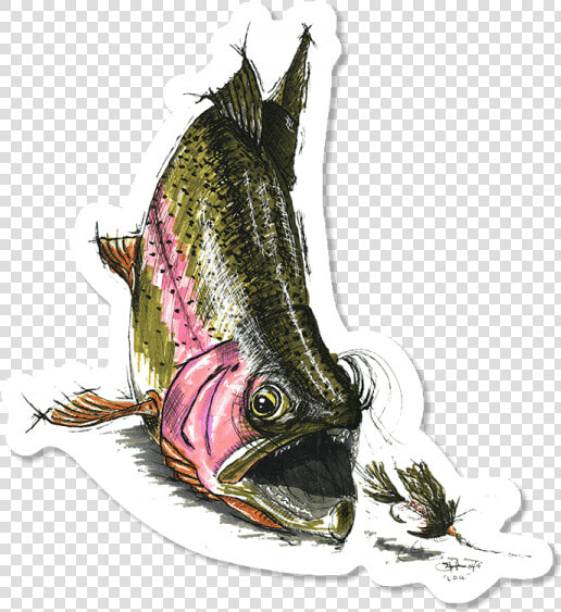 Cory Street Rainbow Trout Sticker   Illustration  HD Png DownloadTransparent PNG