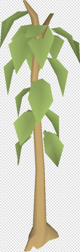 Old School Runescape Wiki   Teak Wood Tree Png  Transparent PngTransparent PNG