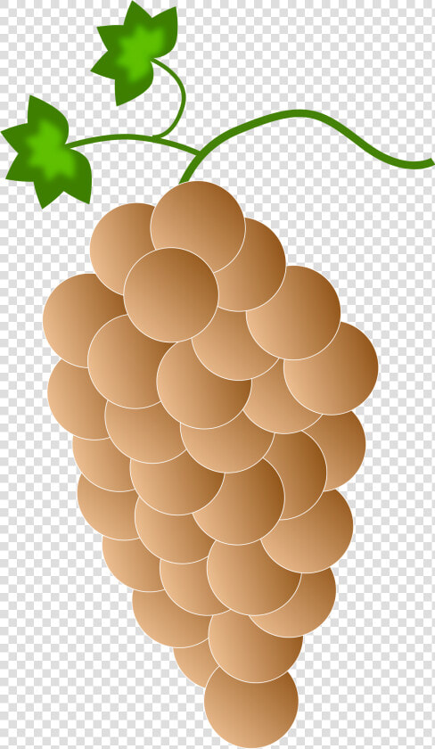 Orange Grapes Clip Arts   Purple Grapes  HD Png DownloadTransparent PNG