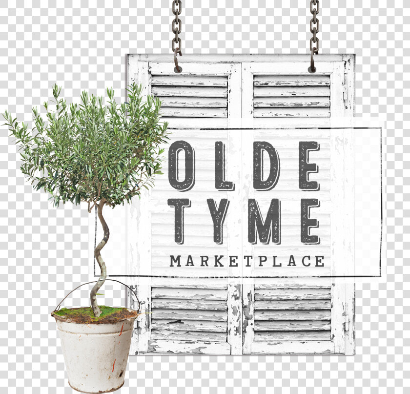 Tattered  Torn  And Rusty Battered  Worn And Dusty   Houseplant  HD Png DownloadTransparent PNG