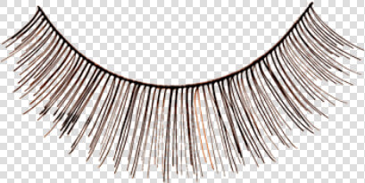 Fake Eyelashes Png   Eyelash Extensions  Transparent PngTransparent PNG