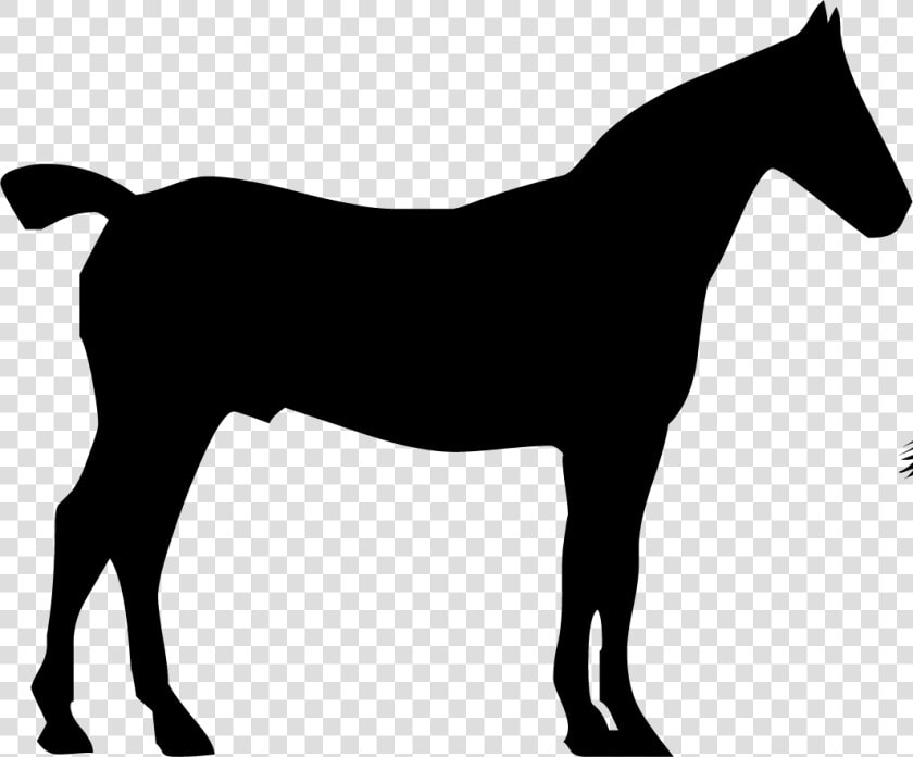 Arabian Horse Head Silhouette  HD Png DownloadTransparent PNG