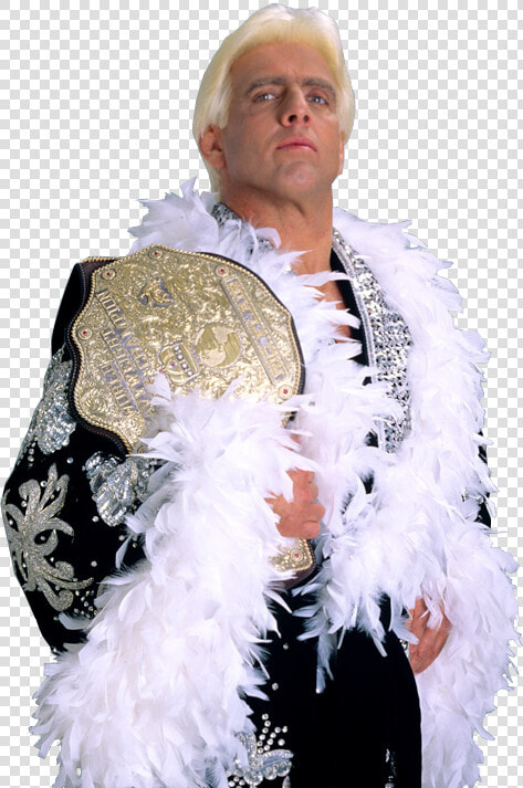 Ric Flair In Robe  HD Png DownloadTransparent PNG