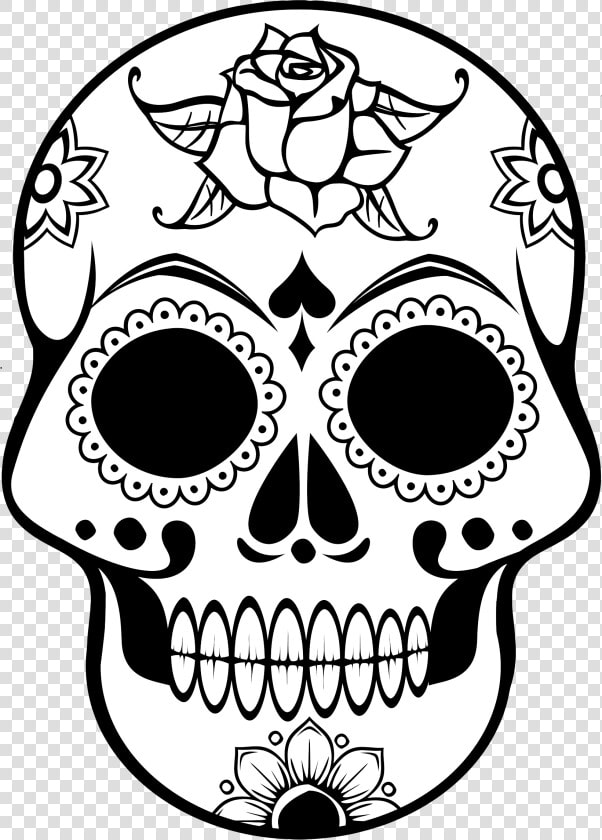 Transparent Skull Clip Art   Imagenes De Calaveras Para Colorear  HD Png DownloadTransparent PNG