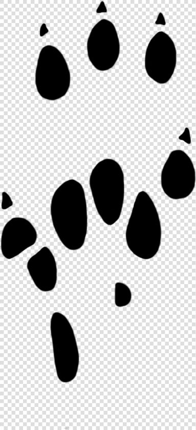 Paw Prints Clipart Rat Paw 25 Mm   Rat Paw Print Png  Transparent PngTransparent PNG