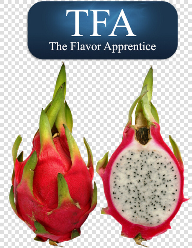 Dragon Fruit Concentrate Tfa   Dragon Fruit Farm Ronda Cebu  HD Png DownloadTransparent PNG