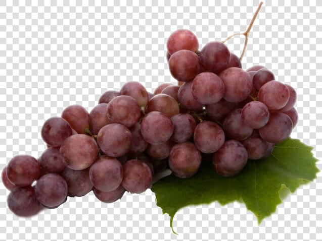  grapes   Vitis Vinifera Extract  HD Png DownloadTransparent PNG