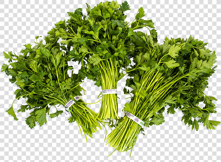 Parsley  HD Png DownloadTransparent PNG