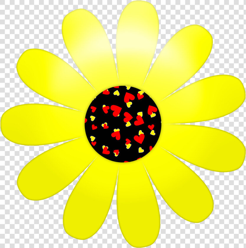 Thumb Image   Gazania  HD Png DownloadTransparent PNG