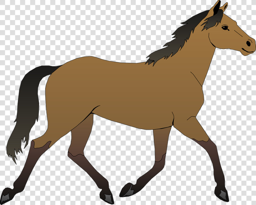 Horse Free Vector   4vector   Horse Clipart  HD Png DownloadTransparent PNG