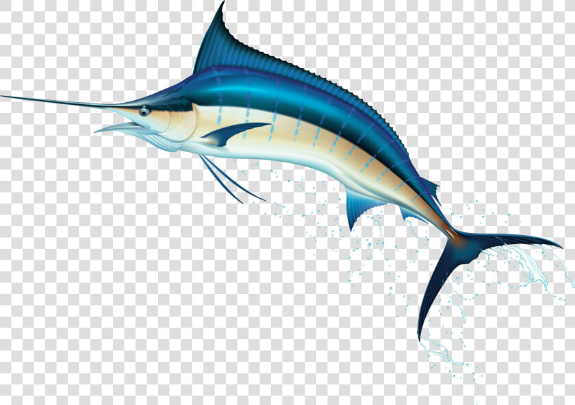 Swordfish  HD Png DownloadTransparent PNG