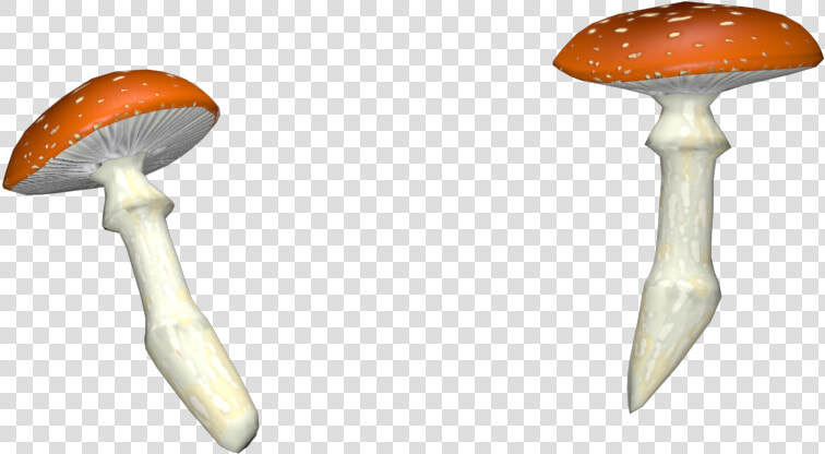 Shiitake  HD Png DownloadTransparent PNG