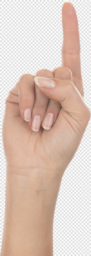 Flesh   Hand One Finger  HD Png DownloadTransparent PNG