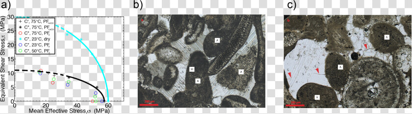 Solution Transfer In Carbonate Rocks Exerts Significant  HD Png DownloadTransparent PNG