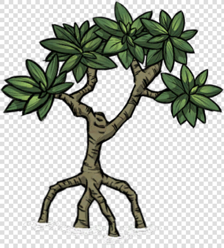 Shipwrecked Icon   Mangrove Clipart Png  Transparent PngTransparent PNG